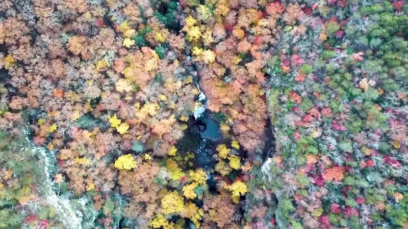 View of Cloudland Canyon State Park in Valley Head, AL