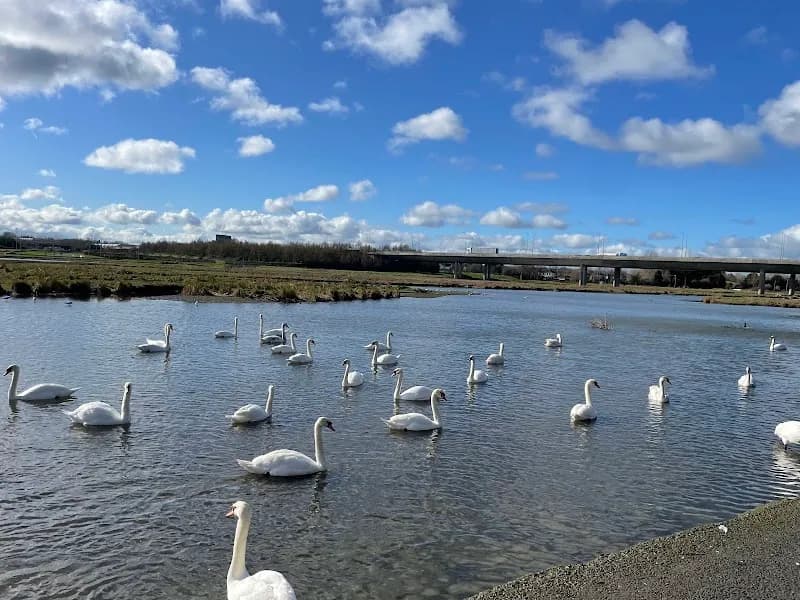 View of Cockle Lake Nature Trail in Swords, D