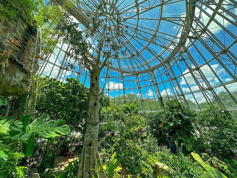 Cockrell Butterfly Center point of interest in Houston, TX