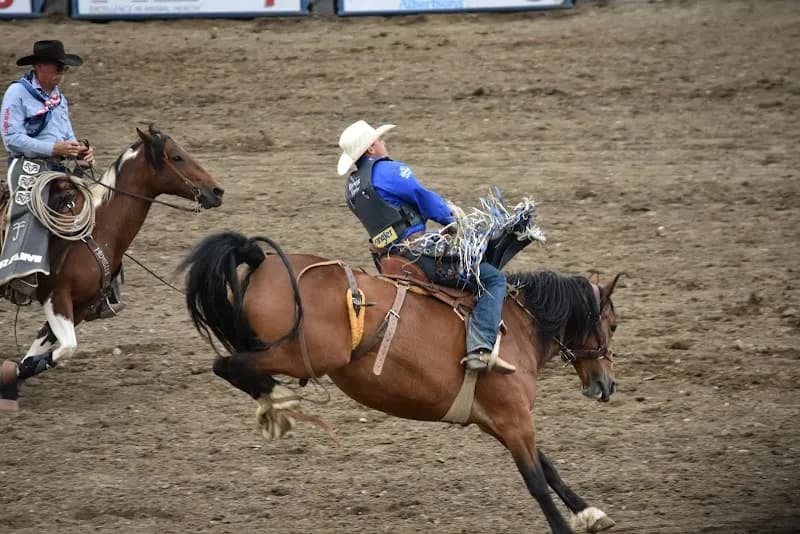 View of Cody Nite Rodeo & Cody Stampede Rodeo in Cody, WY