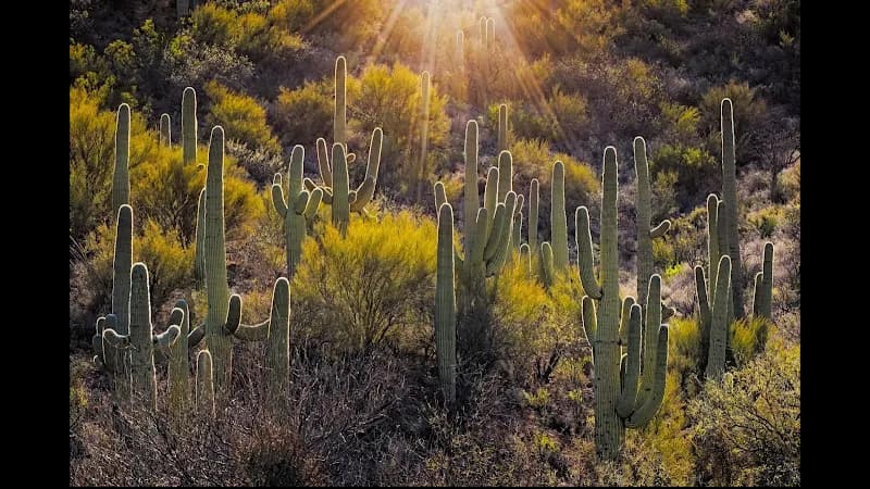 Colossal Cave Mountain Park tourist attraction in Tucson, AZ