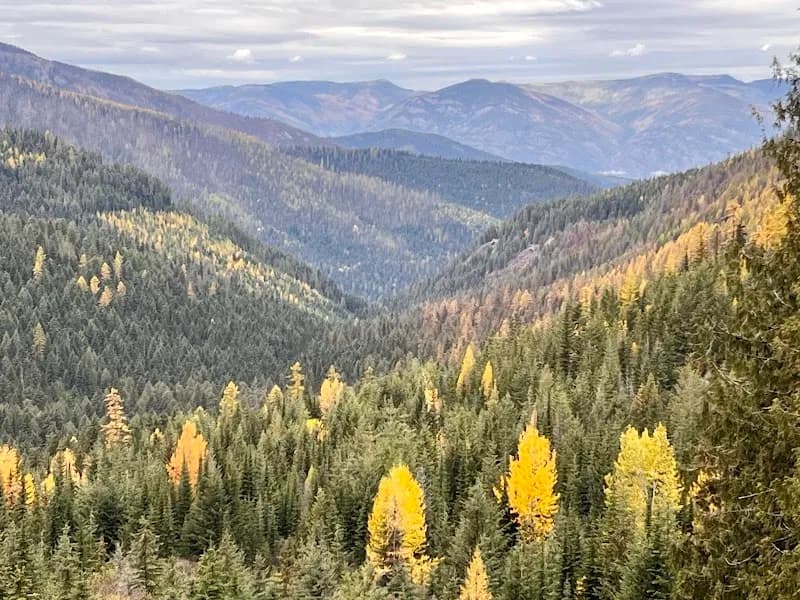 Colville National Forest tourist attraction in Kettle Falls, WA