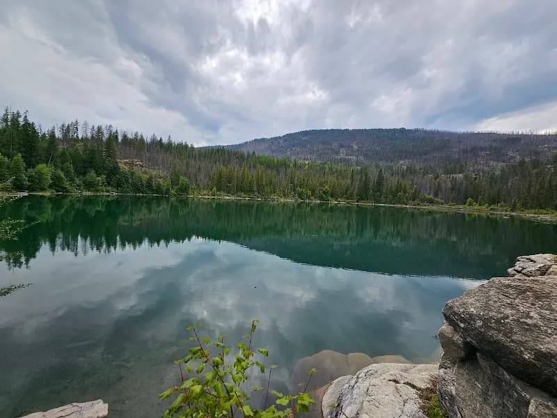 View of Colville National Forest in Kettle Falls, WA