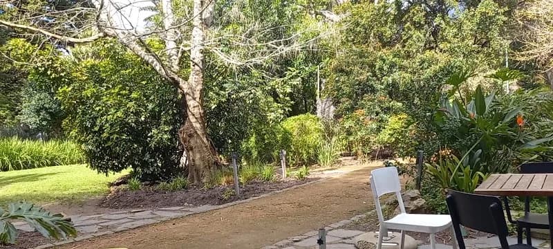 View of Company's Garden in Cape Town, WC