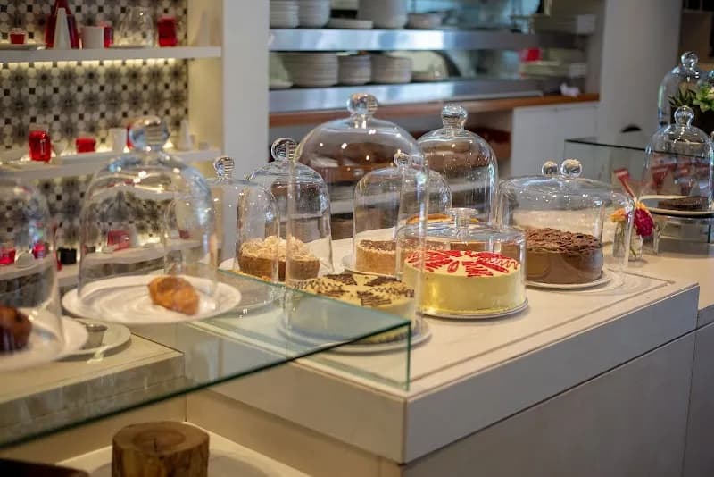 View of Company's Garden in Cape Town, WC