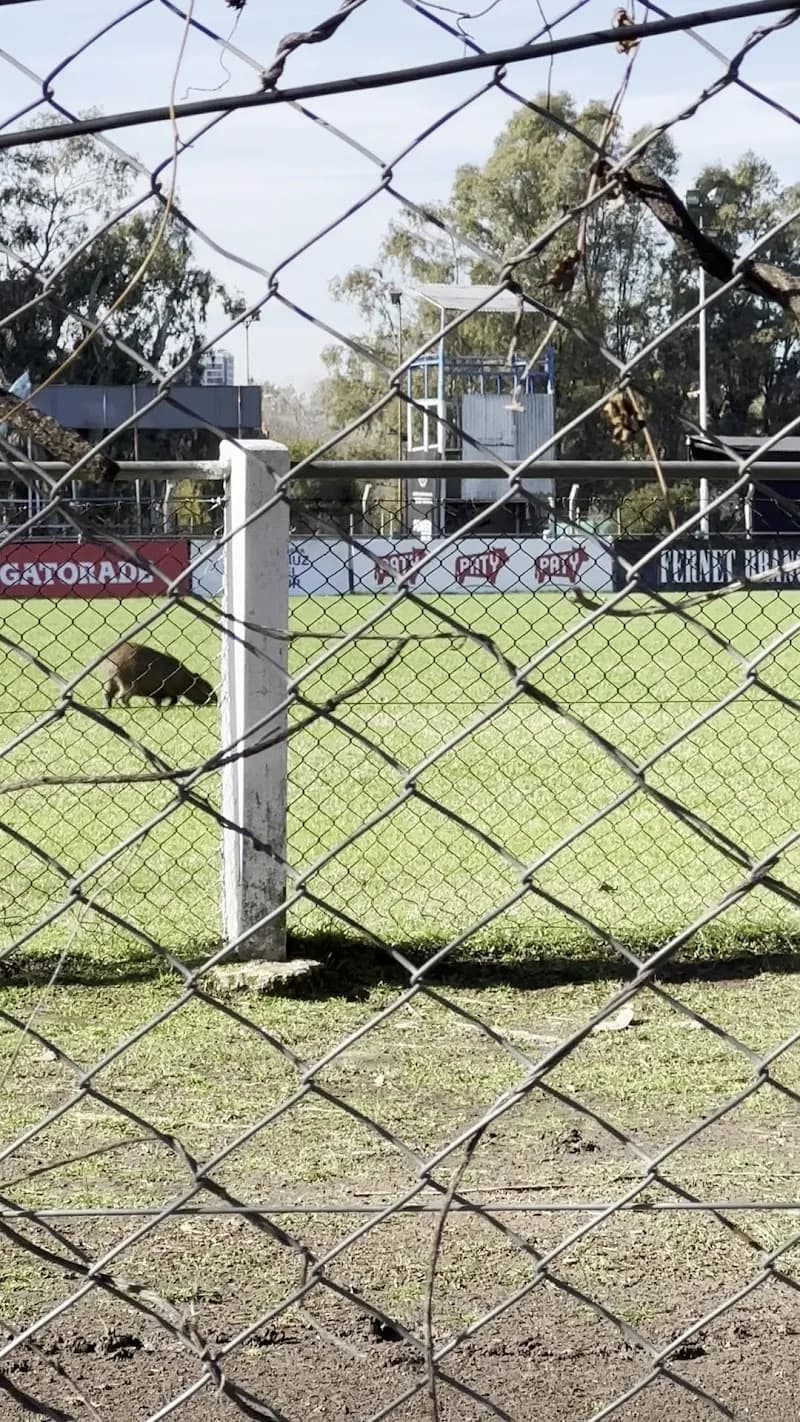View of Complejo Deportivo Núñez in Núñez, BA
