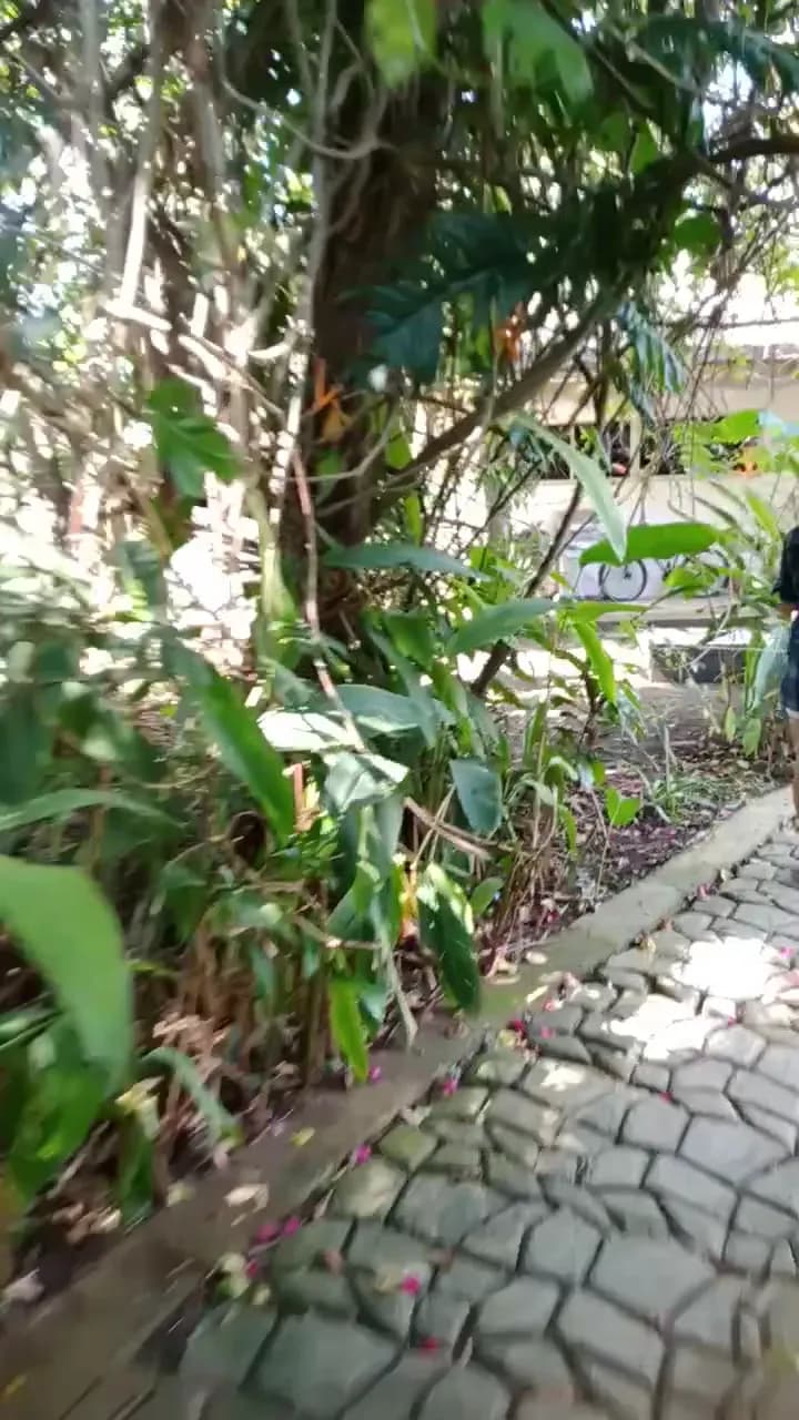 View of Compostela Community Garden in Compostela, CV