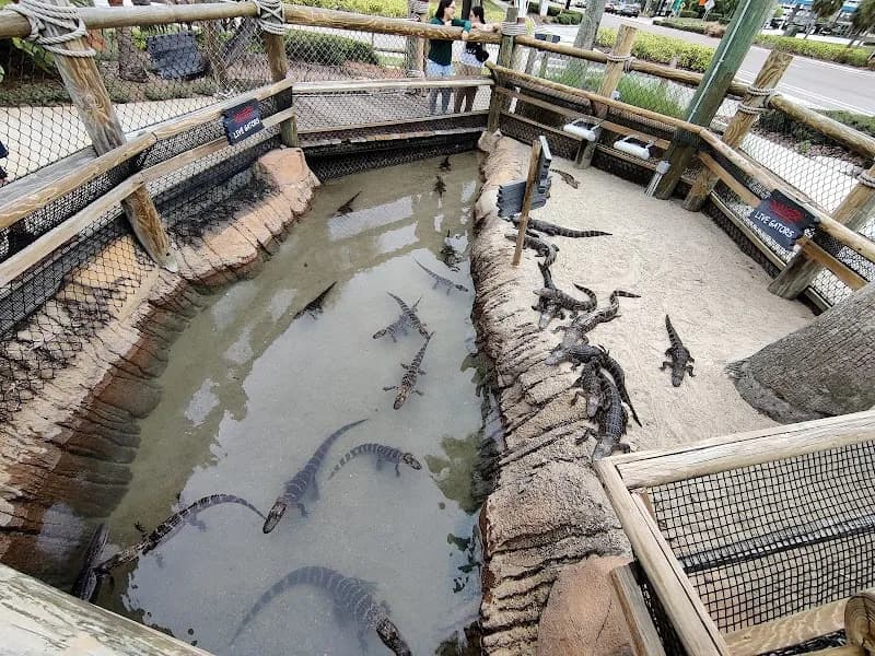 View of Congo River Golf in Orlando, FL