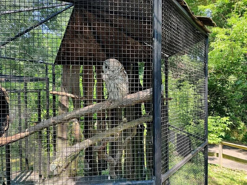 View of Connecticut's Beardsley Zoo in Hartford, CT