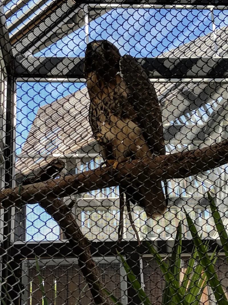 View of Conservancy of Southwest Florida in Naples, FL