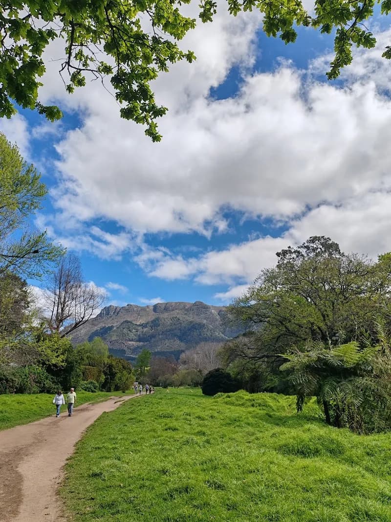 View of Constantia Greenbelt and Forest in Constantia, WC