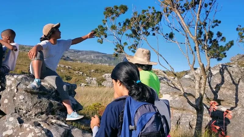 View of Constantia Nek Picnic Area in Hout Bay, WC
