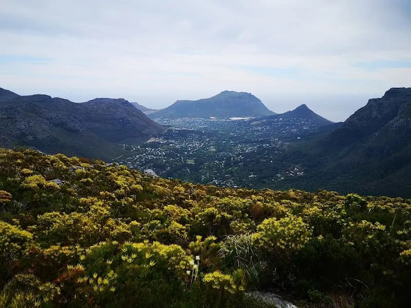 View of Constantianek in Constantia, WC