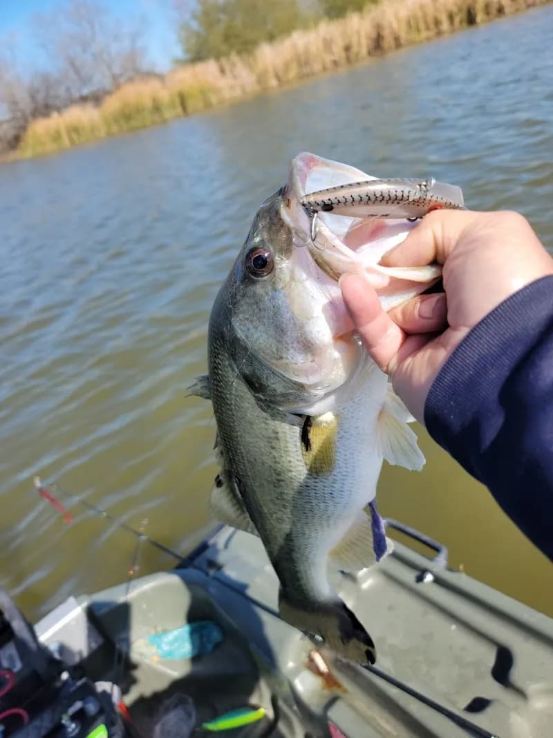 View of Converse North Park in Converse, TX