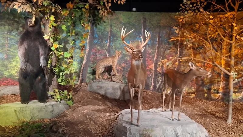 View of Cook Museum of Natural Science in Pell City, AL