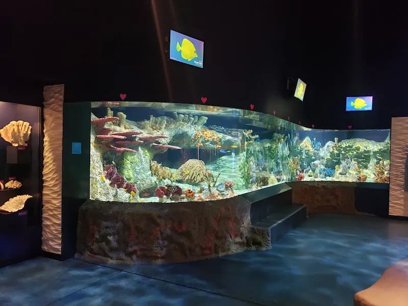 View of Cook Museum of Natural Science in Pell City, AL