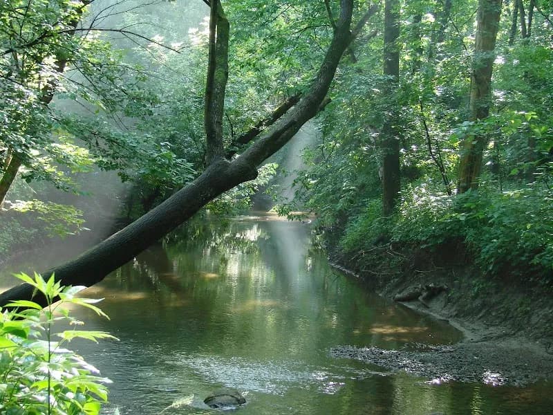 View of Cool Creek Park Nature Center in Westfield, IN