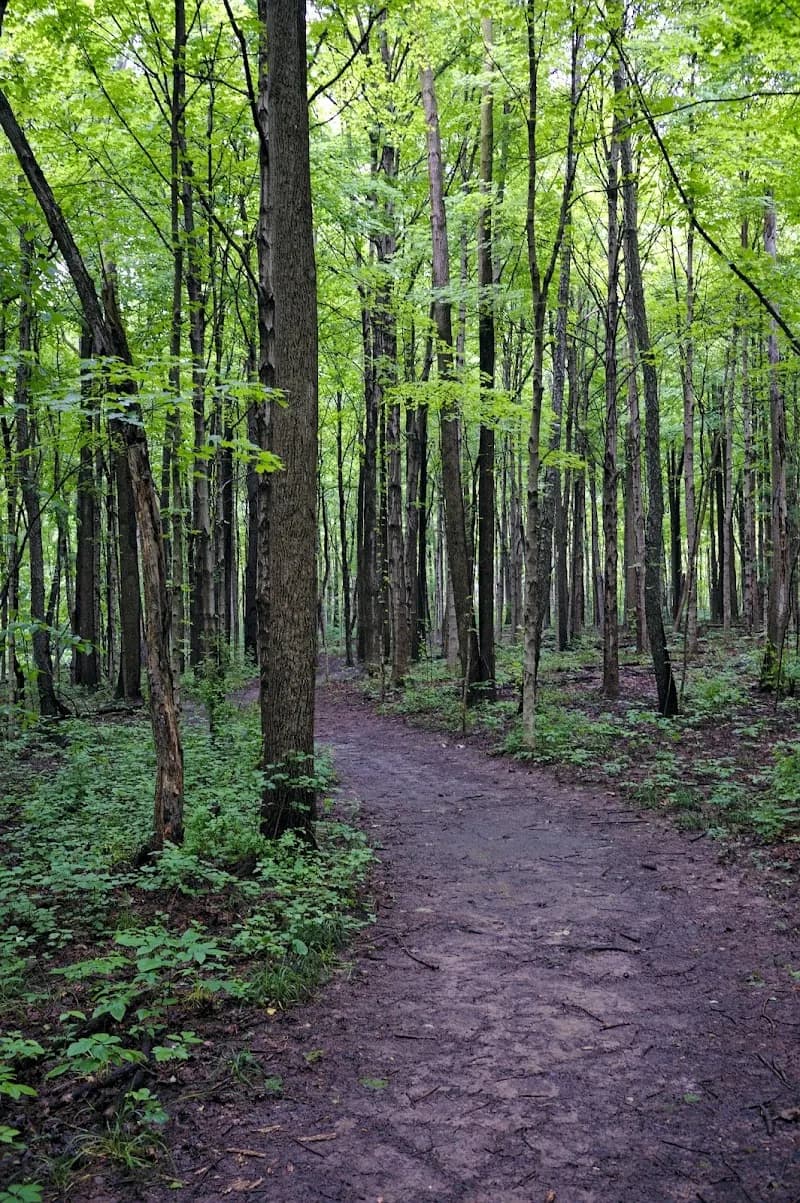 View of Cool Creek Park Nature Center in Westfield, IN