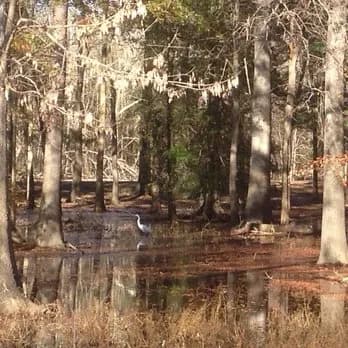 Cooper Creek Park park in Columbus, GA
