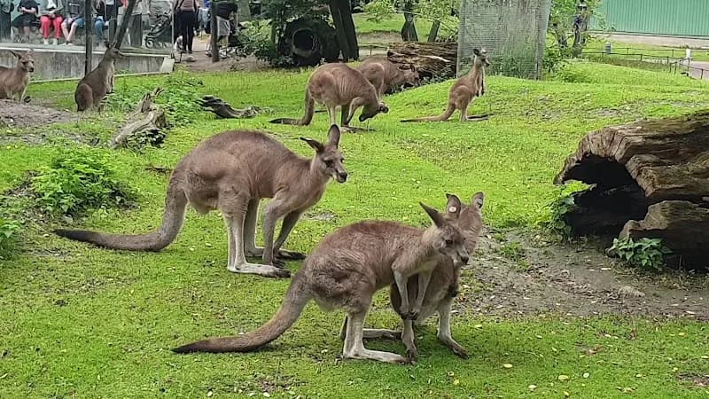 View of Copenhagen Zoo in Copenhagen, CPH