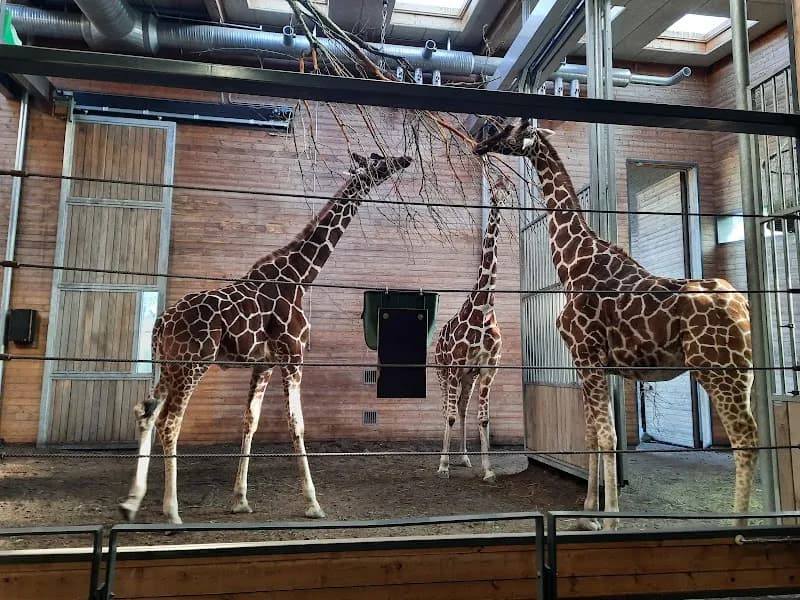 View of Copenhagen Zoo in Copenhagen, CPH