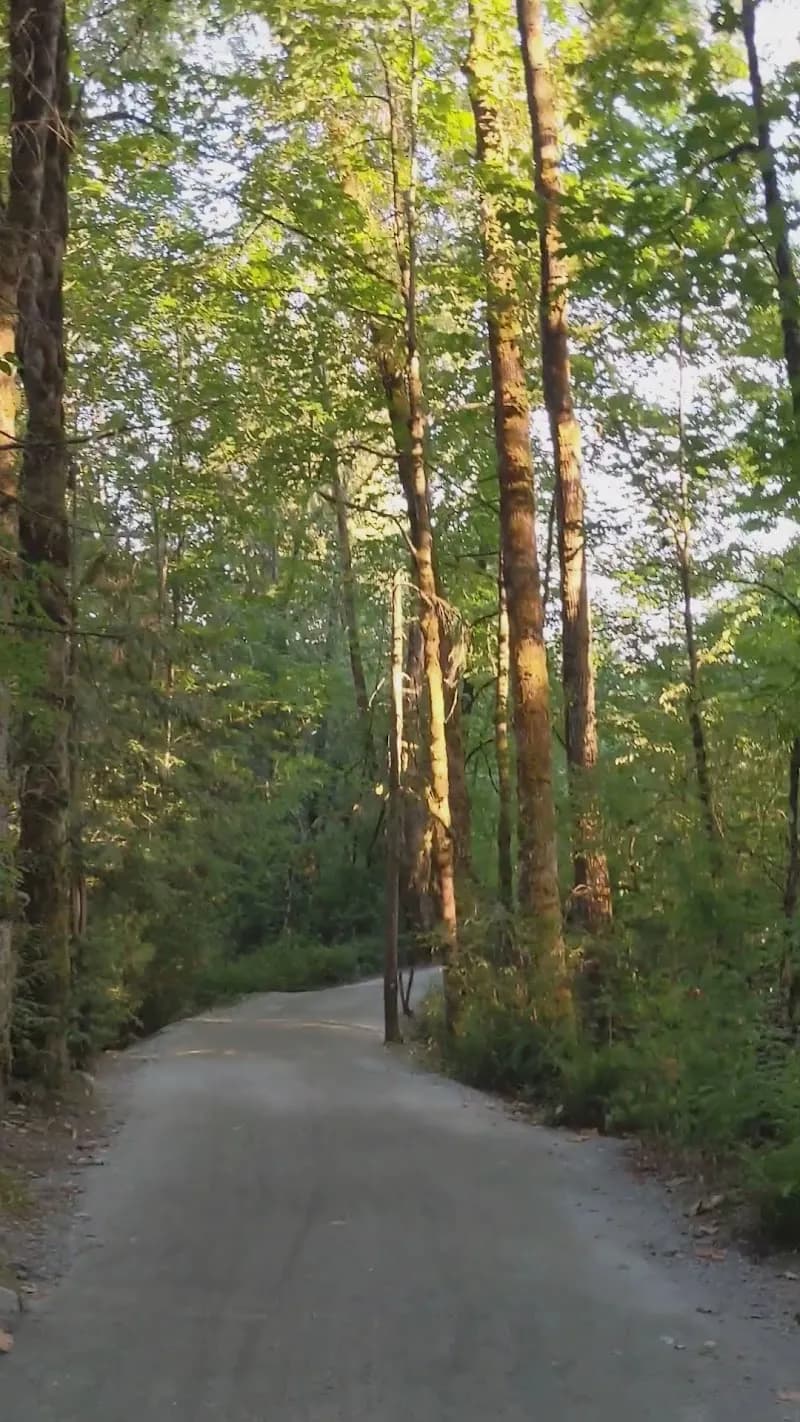 View of Coquitlam River Trail in Port Coquitlam, BC
