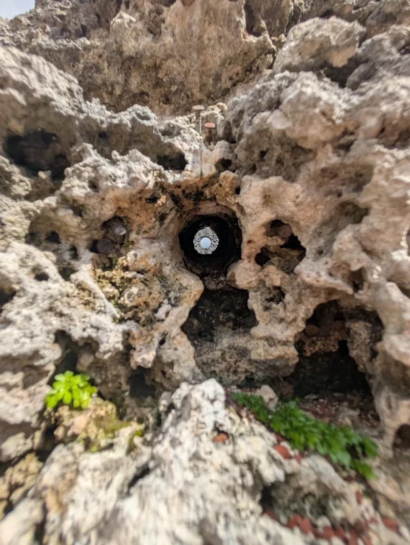 View of Coral Castle in Homestead, FL