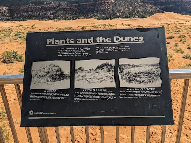 View of Coral Pink Sand Dunes State Park in Springdale, UT