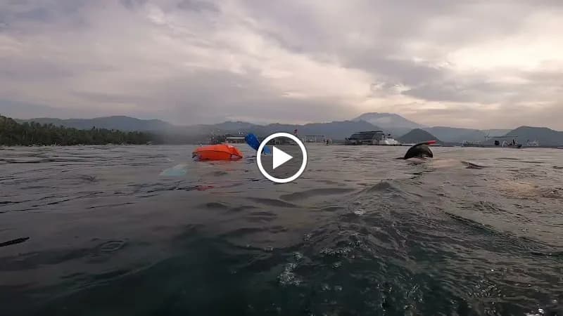 View of Coral Reef Snorkeling Sites (Candidasa Bay) in Candidasa, Bali