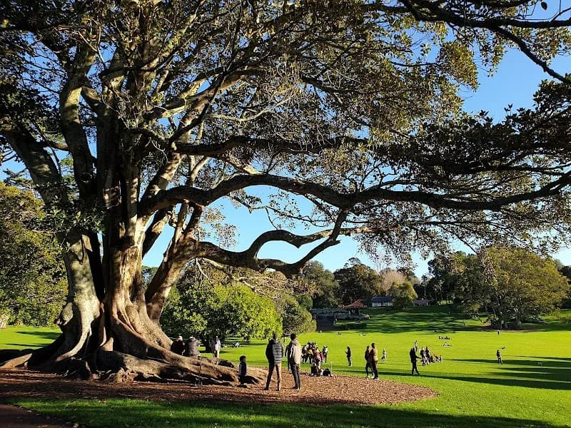 Cornwall Park park in Auckland, AKL