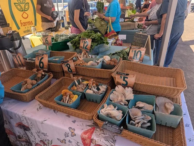View of Corrales Growers Market in Corrales, NM