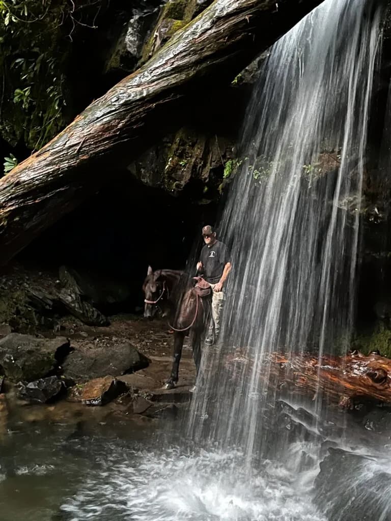 Cosby locality in Cosby, TN