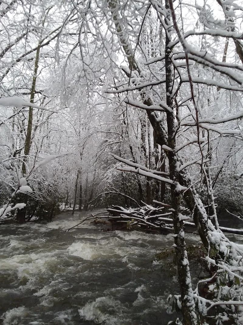 View of Cosby Creek in Cosby, TN