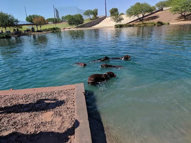 View of Cosmo Dog Park in Gilbert, AZ