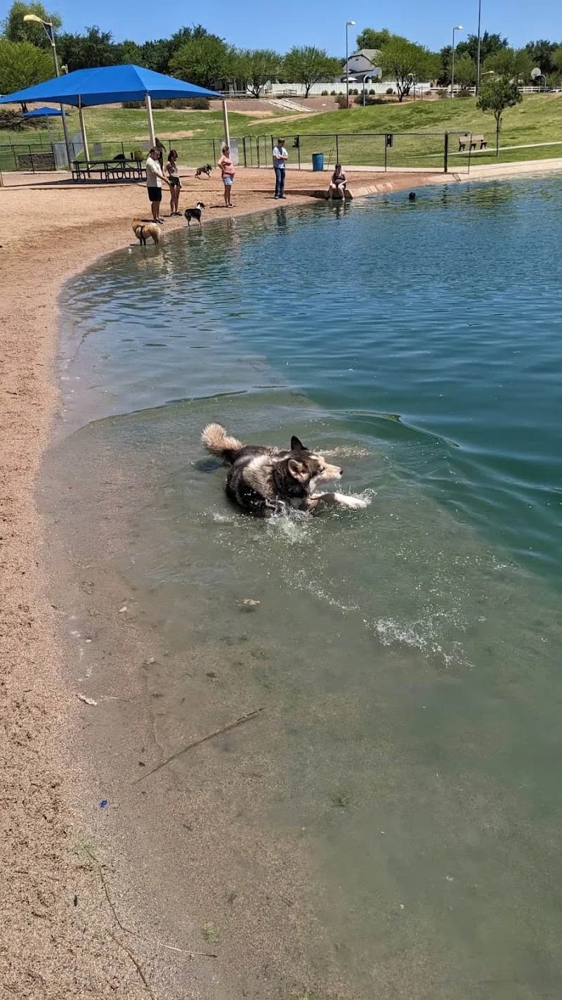 View of Cosmo Dog Park in Gilbert, AZ