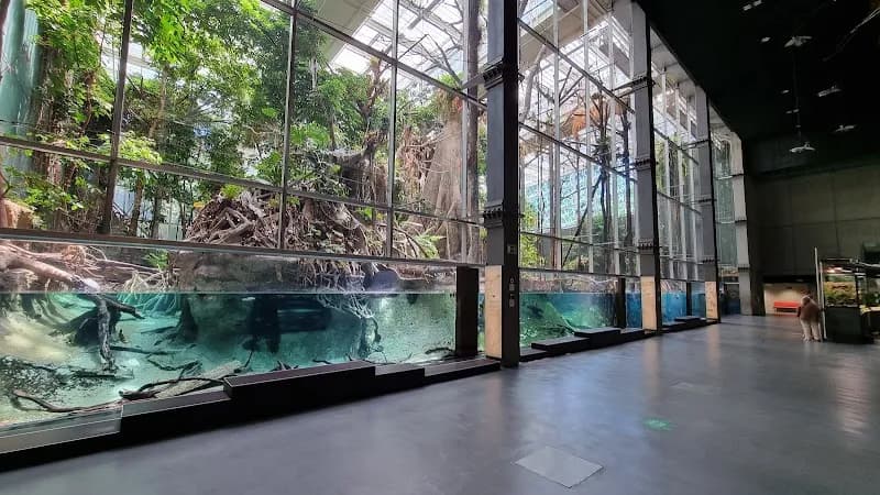 View of CosmoCaixa Museum of Science in Barcelona, CT
