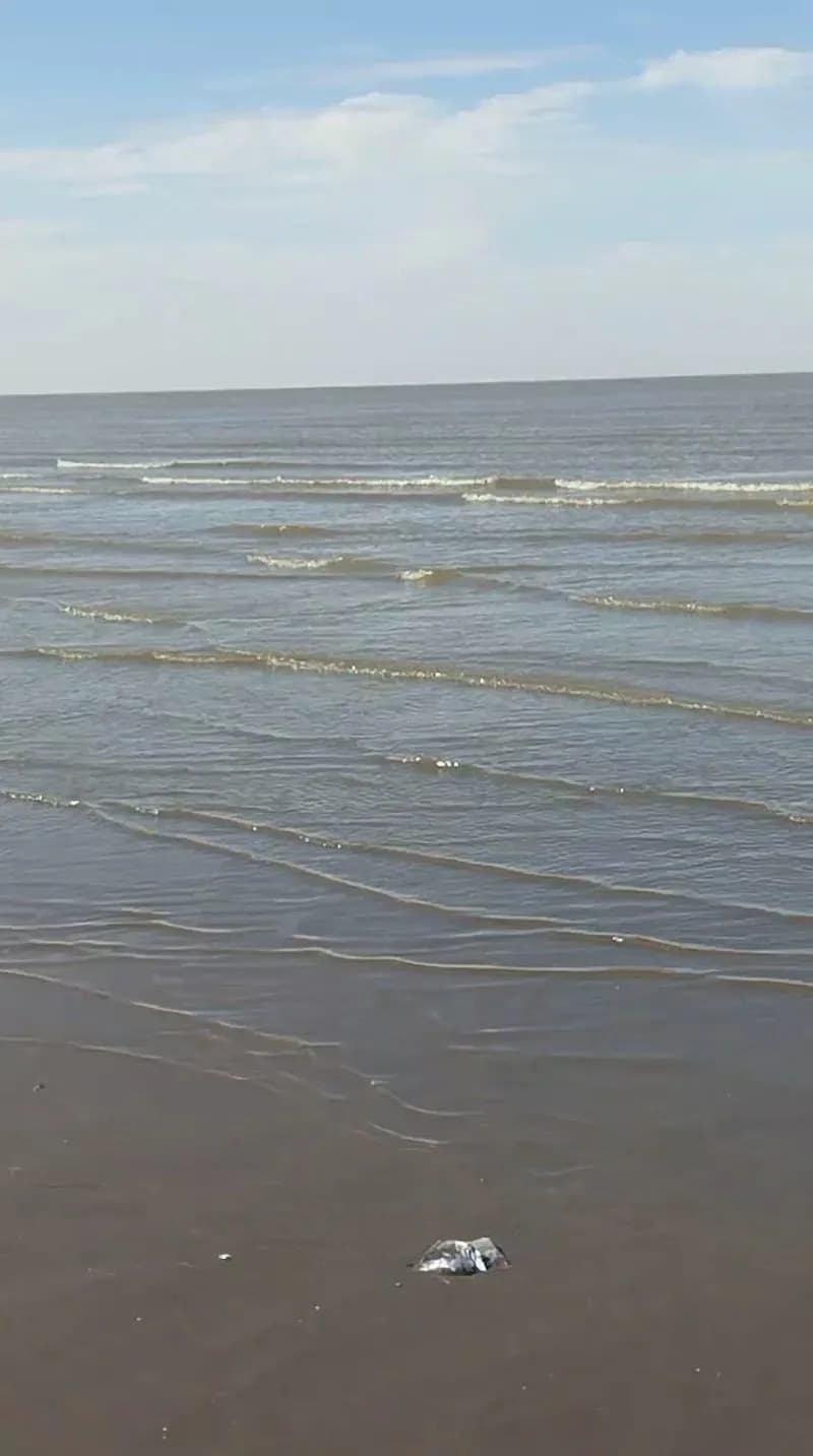 View of Costanera Punta Lara in Quilmes, BA