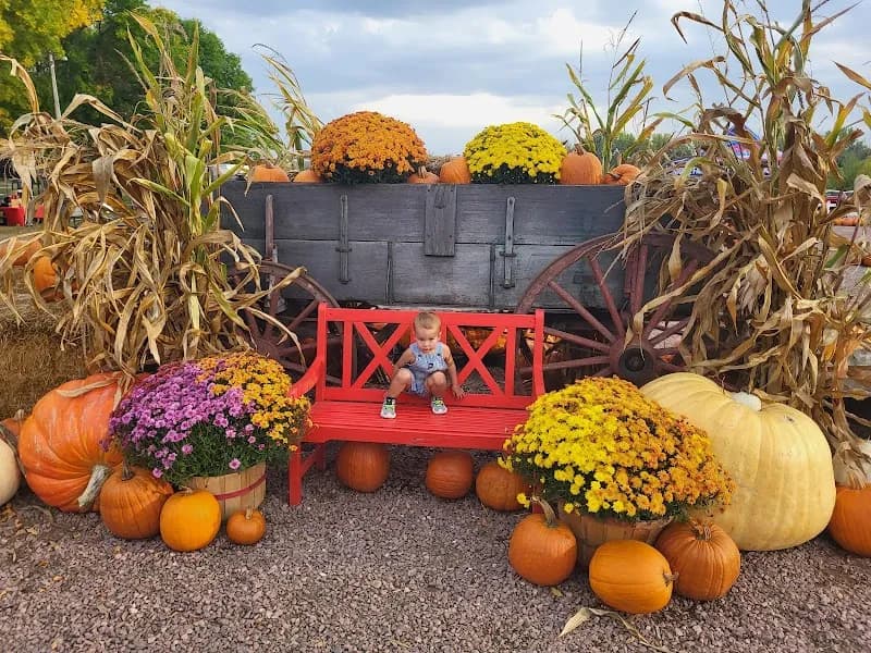 View of Country Apple Orchard & Christmas Tree Farm in Sioux Falls, SD