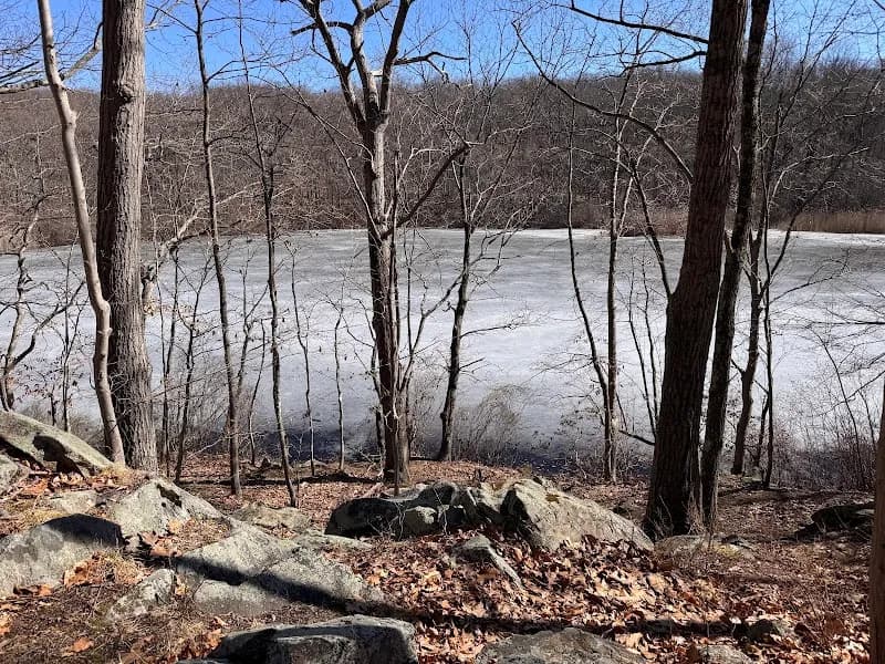 View of Cranberry Lake Preserve in Westchester, NY