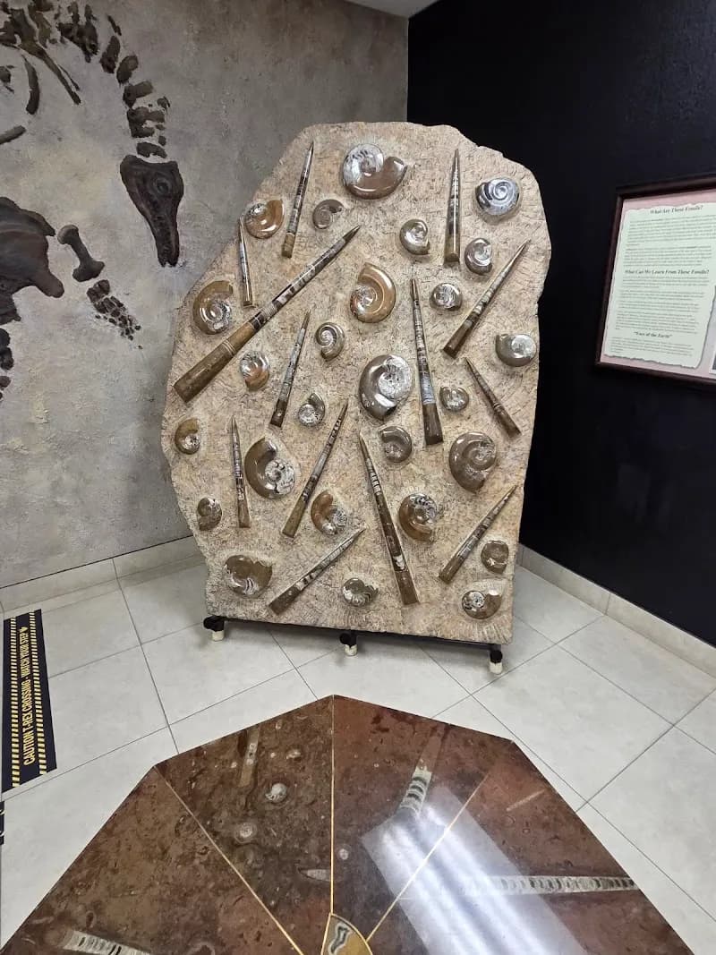 View of Creation & Earth History Museum & Bookstore in Santee, CA