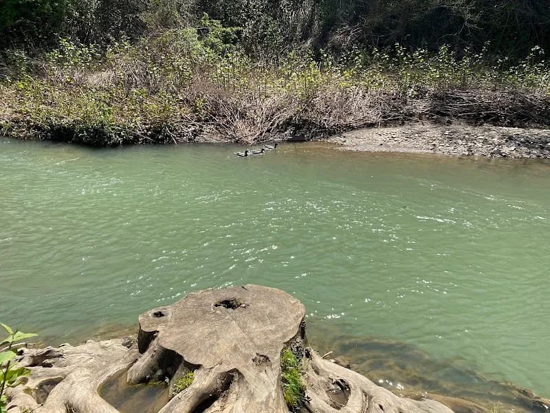 View of Creekside Park in Oakmont, PA