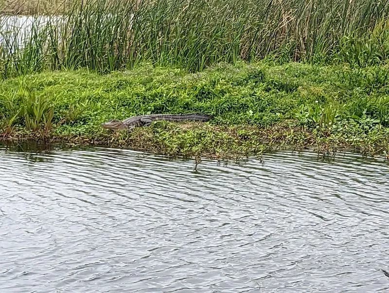 Creole Nature Trail All-American Road visitor center in Lake Charles, LA