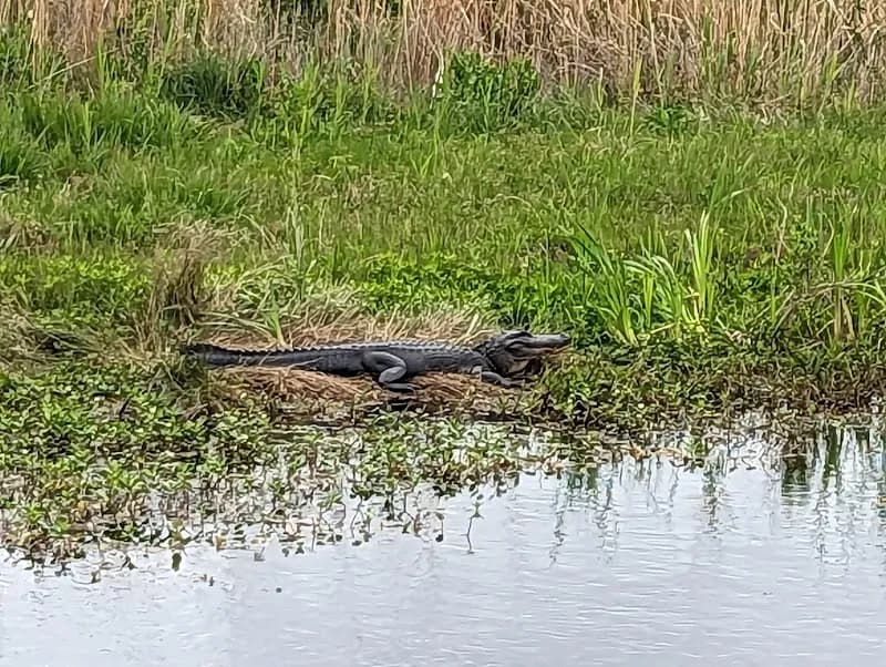 View of Creole Nature Trail All-American Road in Lake Charles, LA