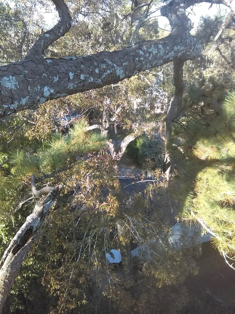 View of Crestline Park in Mountain Brook, AL