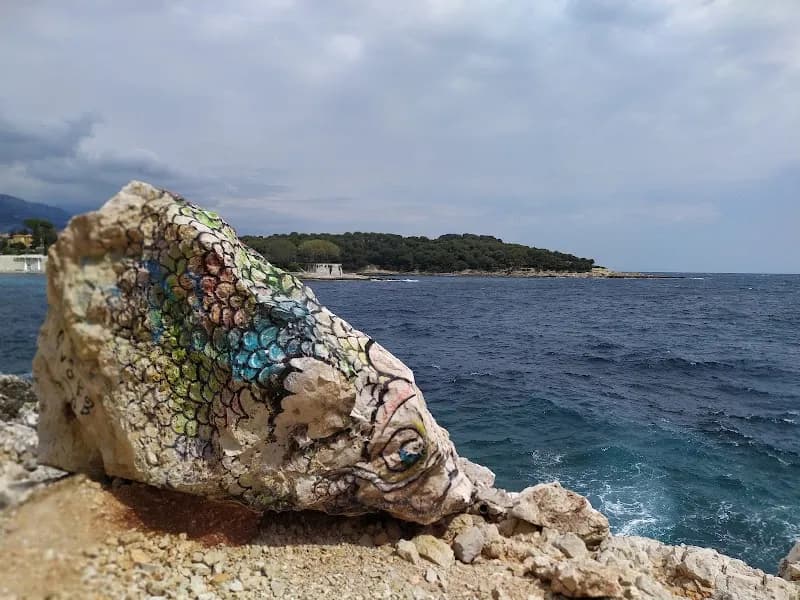 View of Criques de la Carrière in Villefranche-sur-Mer, PACA