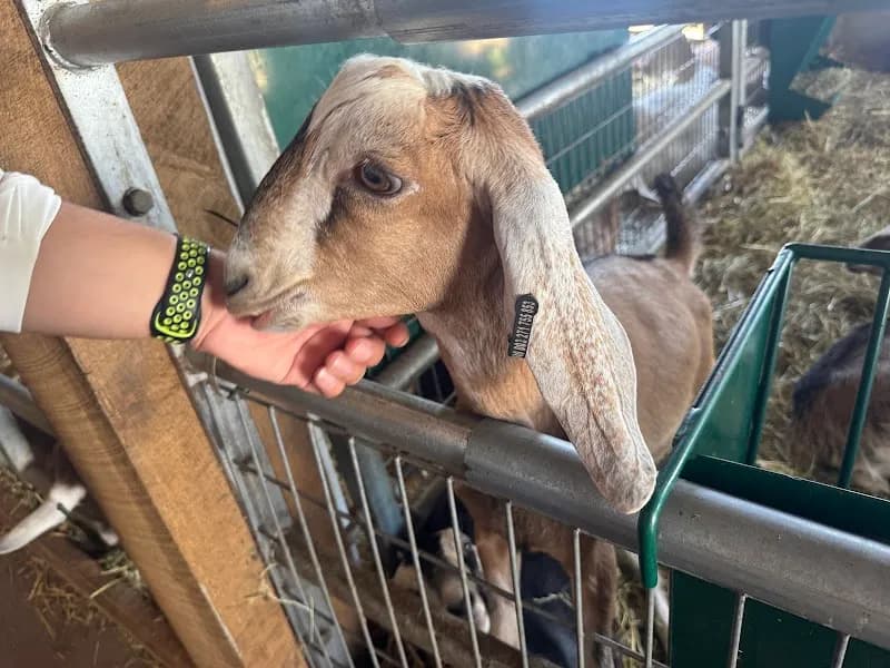 View of Critter Barn in Grand Rapids, MI
