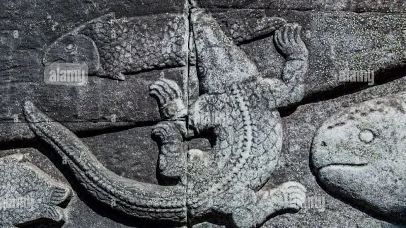 Crocodile Farm Reptile Zoo zoo in Siem Reap, SR