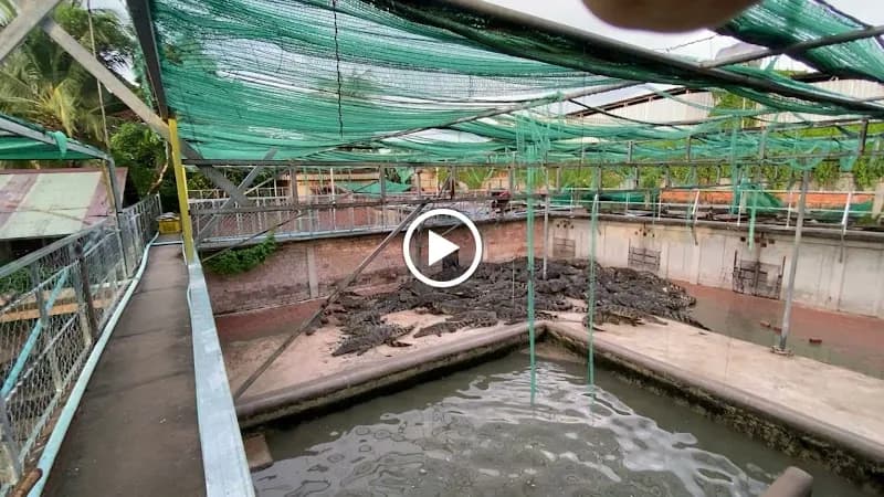 View of Crocodile Farm Reptile Zoo in Siem Reap, SR