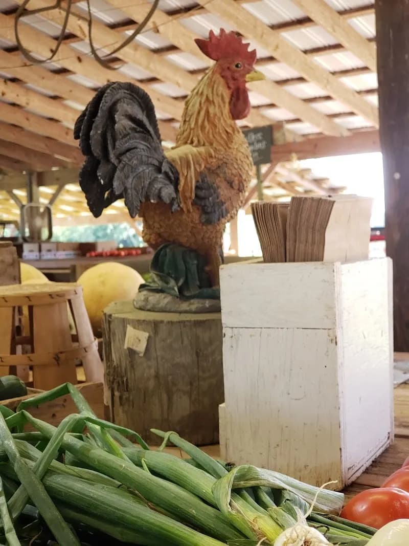 View of Cromwell's Produce in Pungo, VA