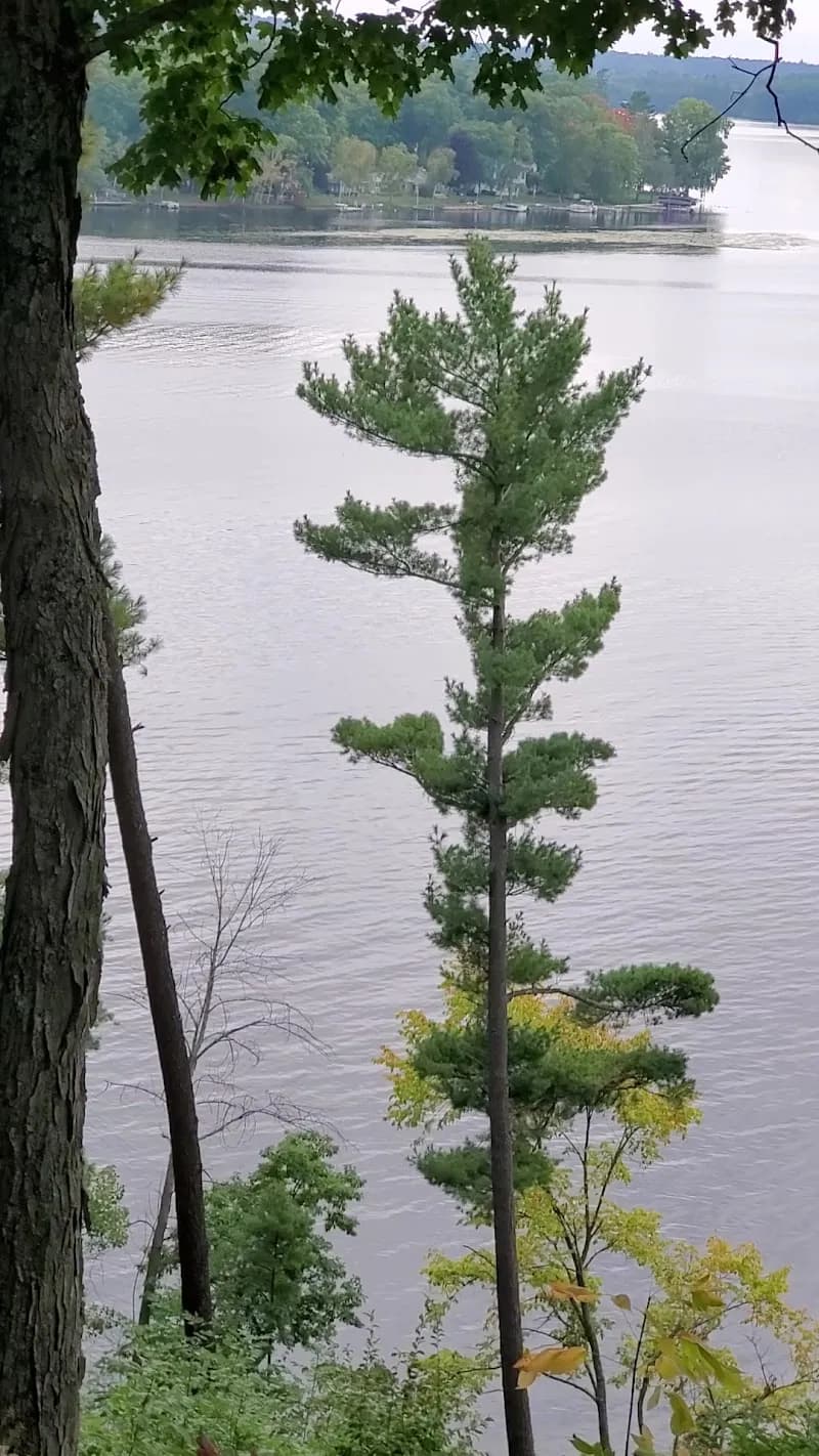 View of Croton Dam Pond in Newaygo, MI